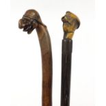 Two hardwood walking sticks with figural pommels including a bone example, the largest 81cm in