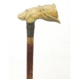 Naturalistic carved ivory walking stick handle, 45cm in length