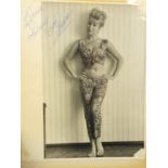 Vintage black and white photographs of pin up girls, mostly signed or with autographs, arranged in