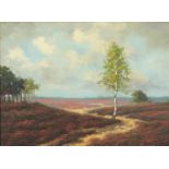 Rural landscape, Continental school oil on canvas, bearing a signature C de Zakiiv? framed, 38cm x
