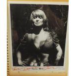 Vintage black and white photographs of pin up girls, mostly signed or with autographs, arranged in