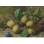 C H Slater - Still life fruit, 19th century watercolour, mounted, framed and glazed, 20cm x 14cm