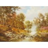 River through woodland, Continental school oil on board, bearing an indistinct signature, possibly