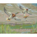 Manner of Peter Scott - Mallards in flight, gouache, mounted, framed and glazed, 35.5cm x 28.5cm