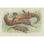 Wendy Meadway - Otter family, watercolour, Stacy-marks label verso mounted, framed and glazed,