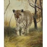Woodcock - Leopard in woodland, oil on canvas, framed, 61cm x 51cm excluding the frame