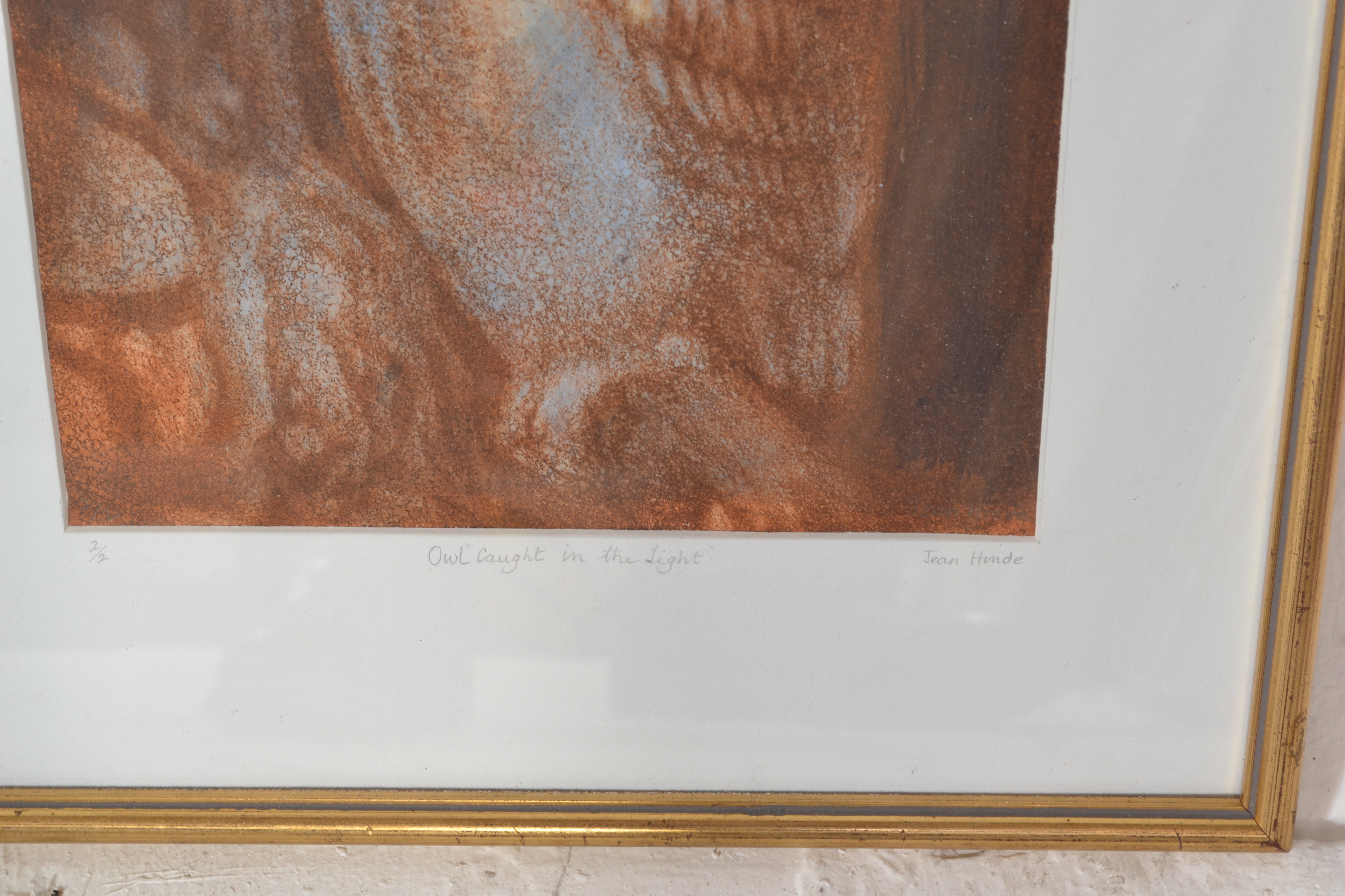 Jean Hinde - A 20th Century limited edition etching entitled 'Owl Caught in the Light', limited - Image 3 of 5