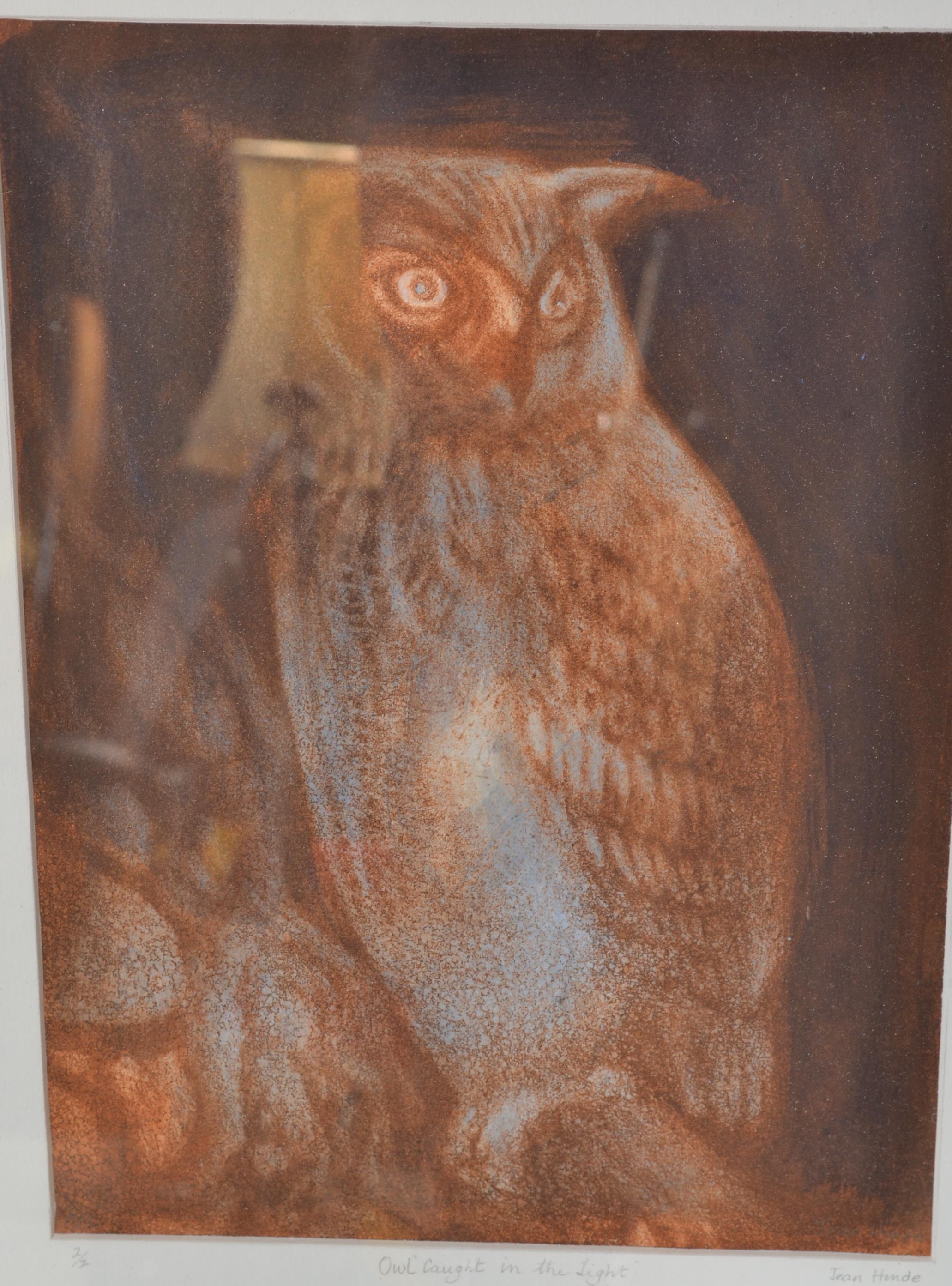 Jean Hinde - A 20th Century limited edition etching entitled 'Owl Caught in the Light', limited - Image 2 of 5