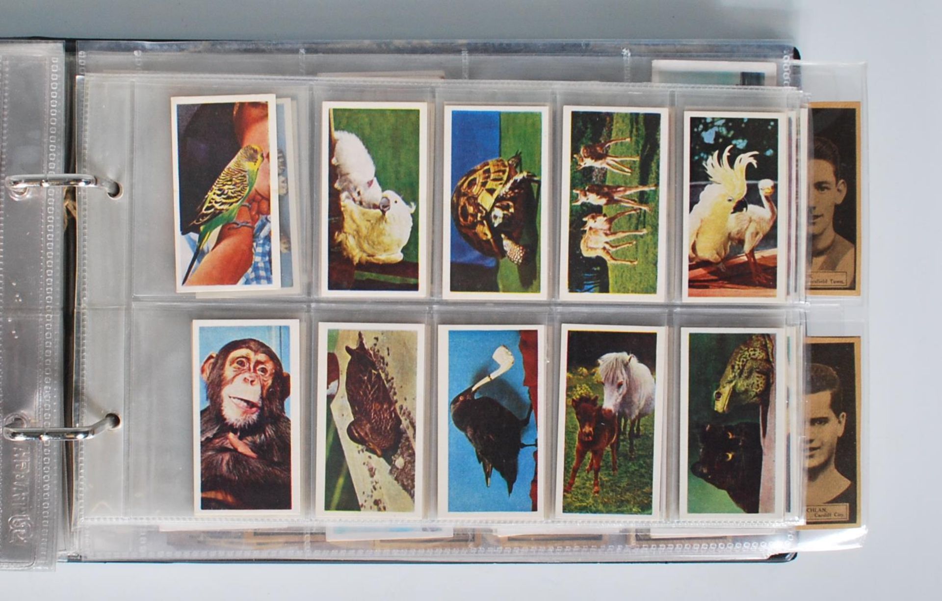 A collection of vintage 20th Century trade cards in full sets stored within plastic sleeves within - Bild 10 aus 12