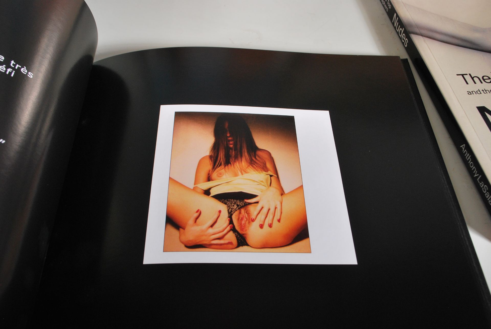 Erotic photographic books - A group of erotic book Covering various styles and subjects to include A - Bild 3 aus 12