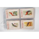 A selection of Holloway's Natural History trade cards to include Birds 1-39, and animals 1-39. Set