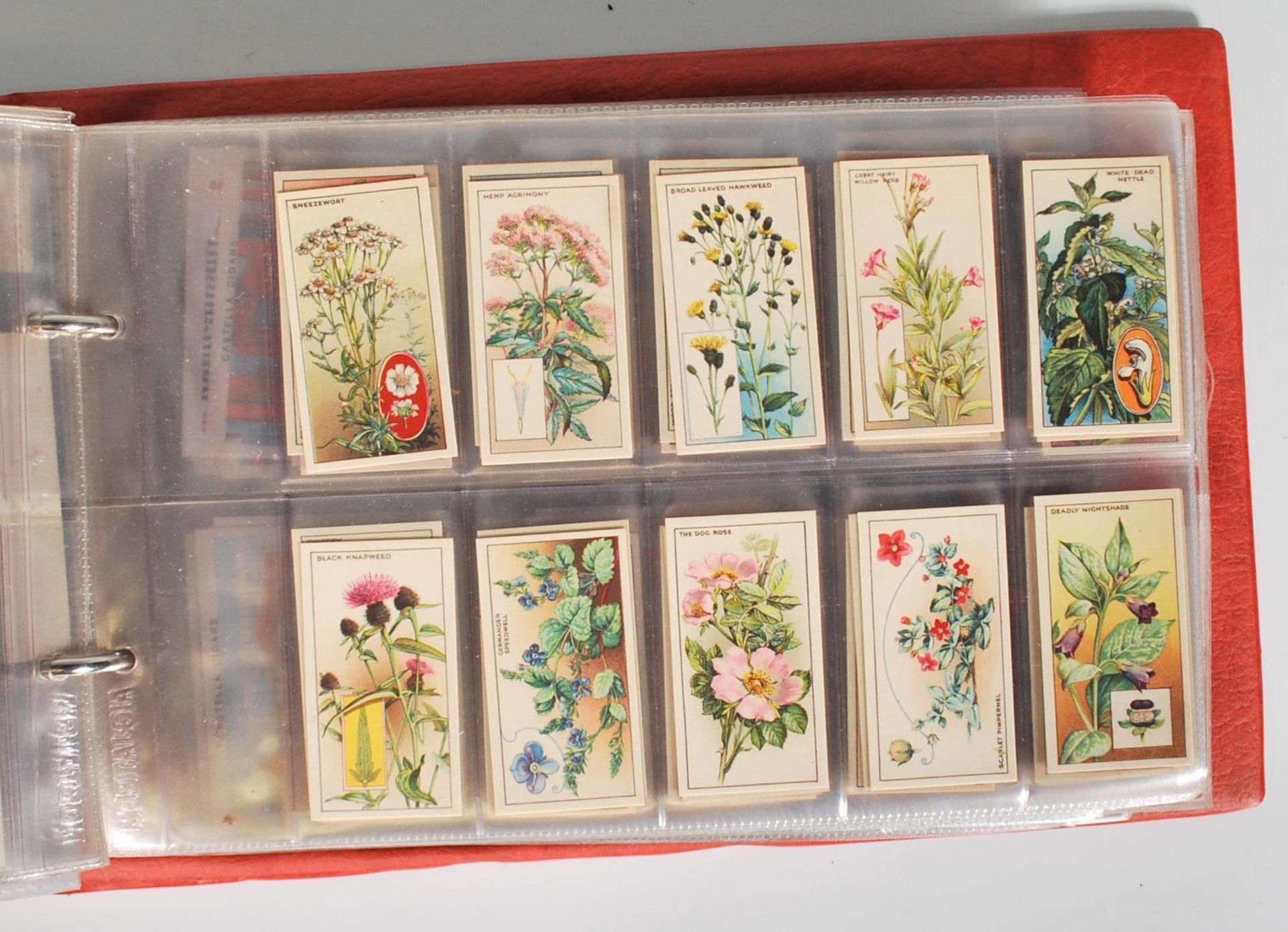 A collection of 20th Century vintage (mostly) cigarette full and part trade cards within plastic - Bild 4 aus 9