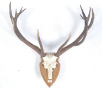 SET OF TAXIDERMY 12 POINT STAG ANTLERS ON CAST IRO