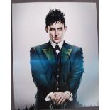 DC UNIVERSE - GOTHAM - ROBIN LORD TAYLOR SIGNED 8X10"