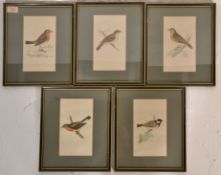 A set of five framed and glazed hand coloured prints of birds to include Redbreast, Cole Titmouse,