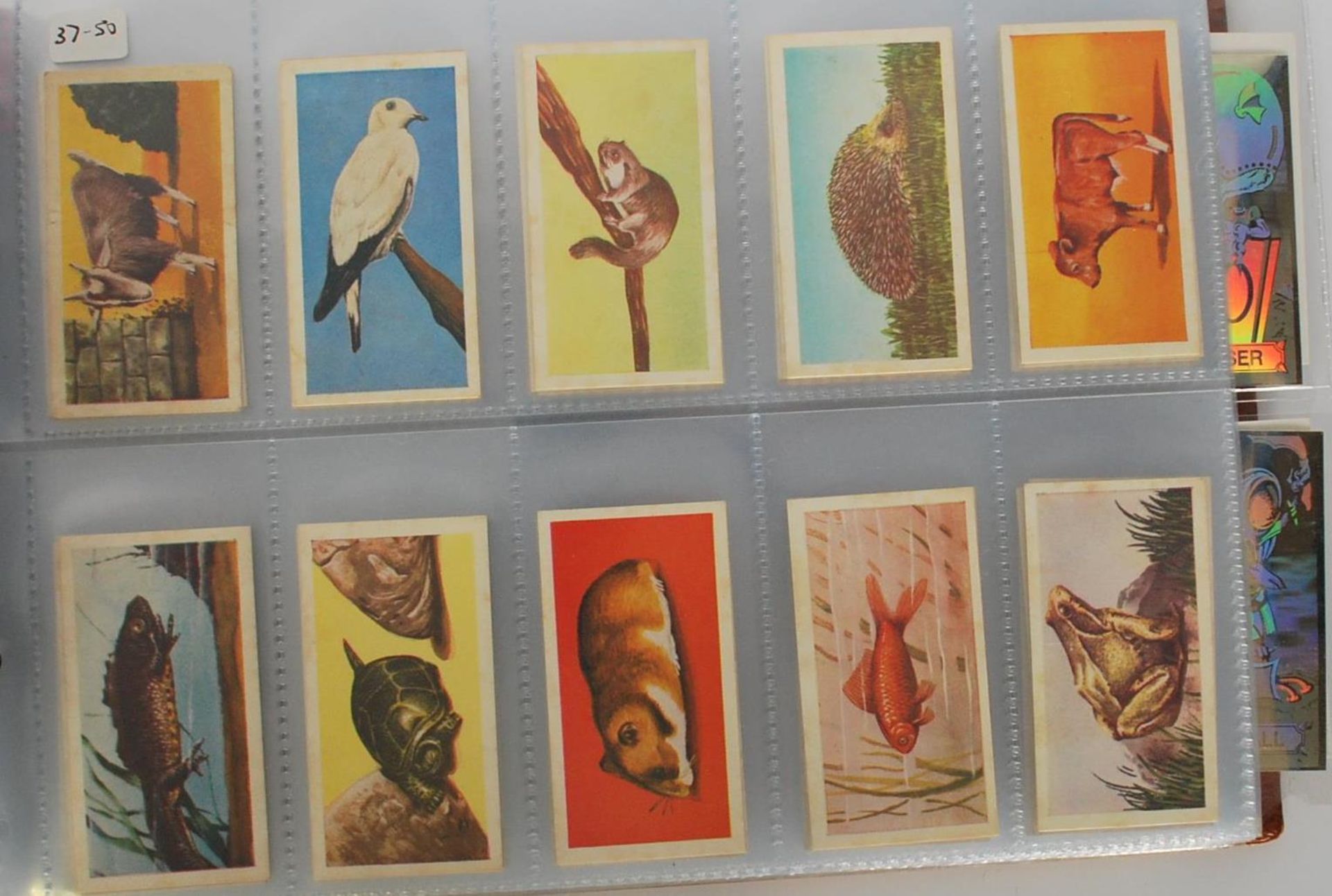 A collection of vintage Barratt / Bassett collectors trade cards trade cards in full sets stored - Bild 7 aus 8