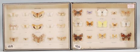 A collection of vintage taxidermy butterflies and moths being mounted and cased. All moths and