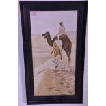 A framed and glazed vintage 20th Century photographic hand coloured print of Egypt / Cairo depicting