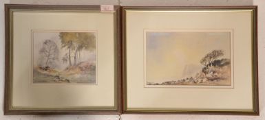 David Bellamy. A pair of 20th Century Watercolour paintings of landscapes and seascapes. The first