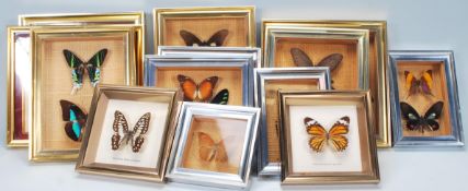 A collection of exotic taxidermy butterflies prese