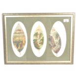 A framed and glazed believed 19th / 20th century C