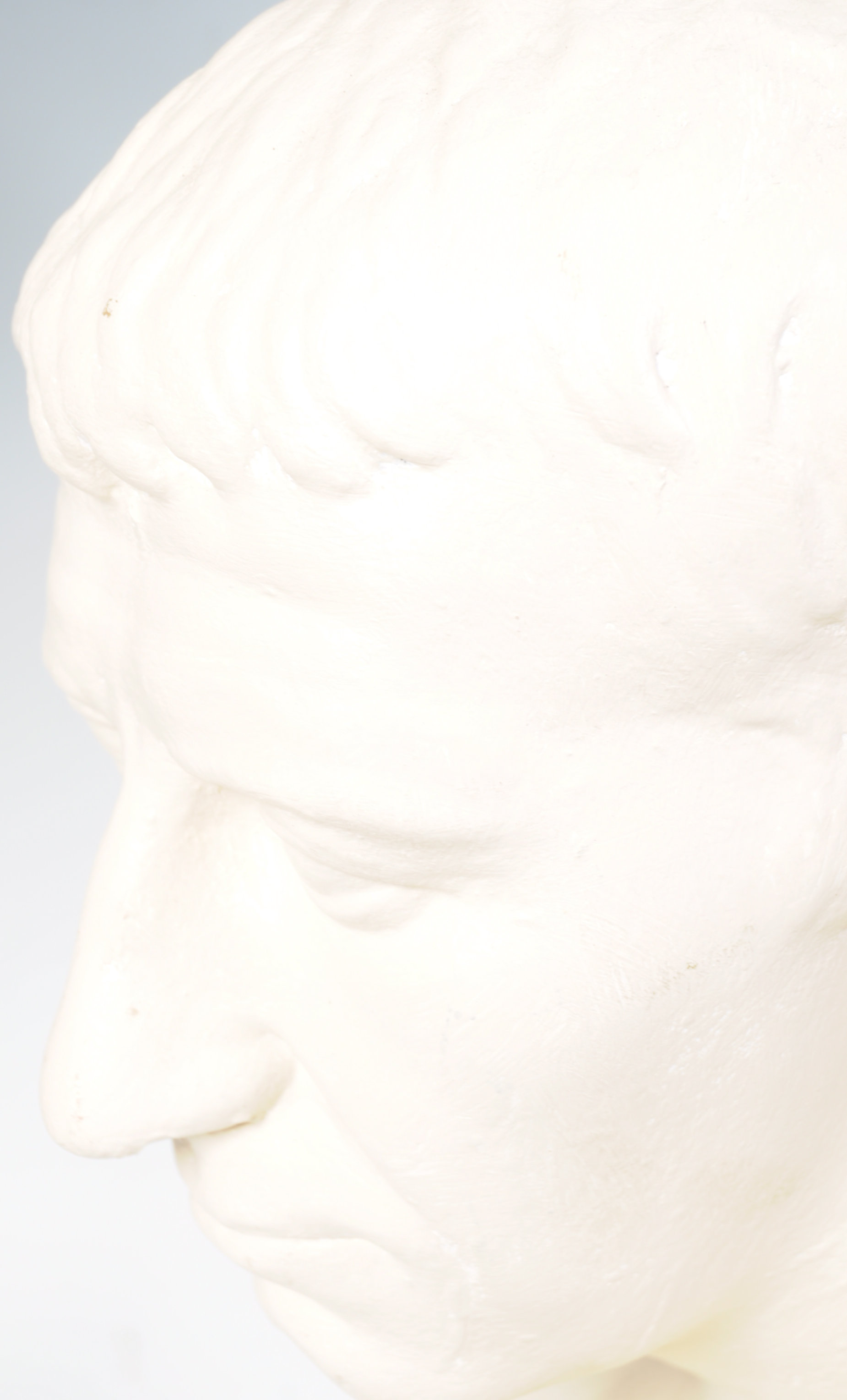 19TH CENTURY PLASTER BUST OF ROMAN EMPEROR JULIUS CAESAR - Image 7 of 7