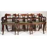 A set of 11 mahogany and leather carver armchairs. Each chair ( dining ) being raised on sabre