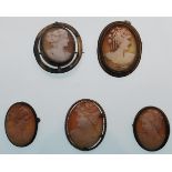 A group of five antique carved shell cameo brooches to include a gold plated swivel cameo and four