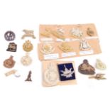COLLECTION OF ORIGINAL WWII CAP BADGES AND BERET B