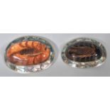 Two vintage 20th Century American silver belt buckles with abalone shell inlaid board and resin