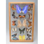A group of collection of etymology interest taxidermy butterflies to include fifteen exotic