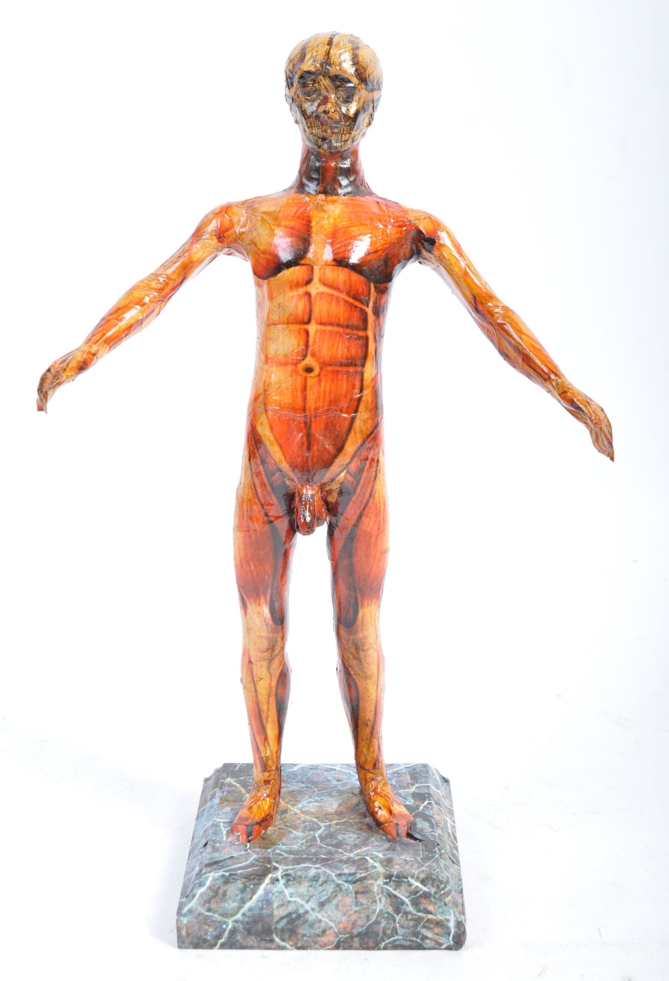 20TH CENTURY MEDICAL ANATOMICAL HUMAN FIGURE STATUE - Bild 2 aus 6