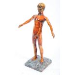 20TH CENTURY MEDICAL ANATOMICAL HUMAN FIGURE STATUE