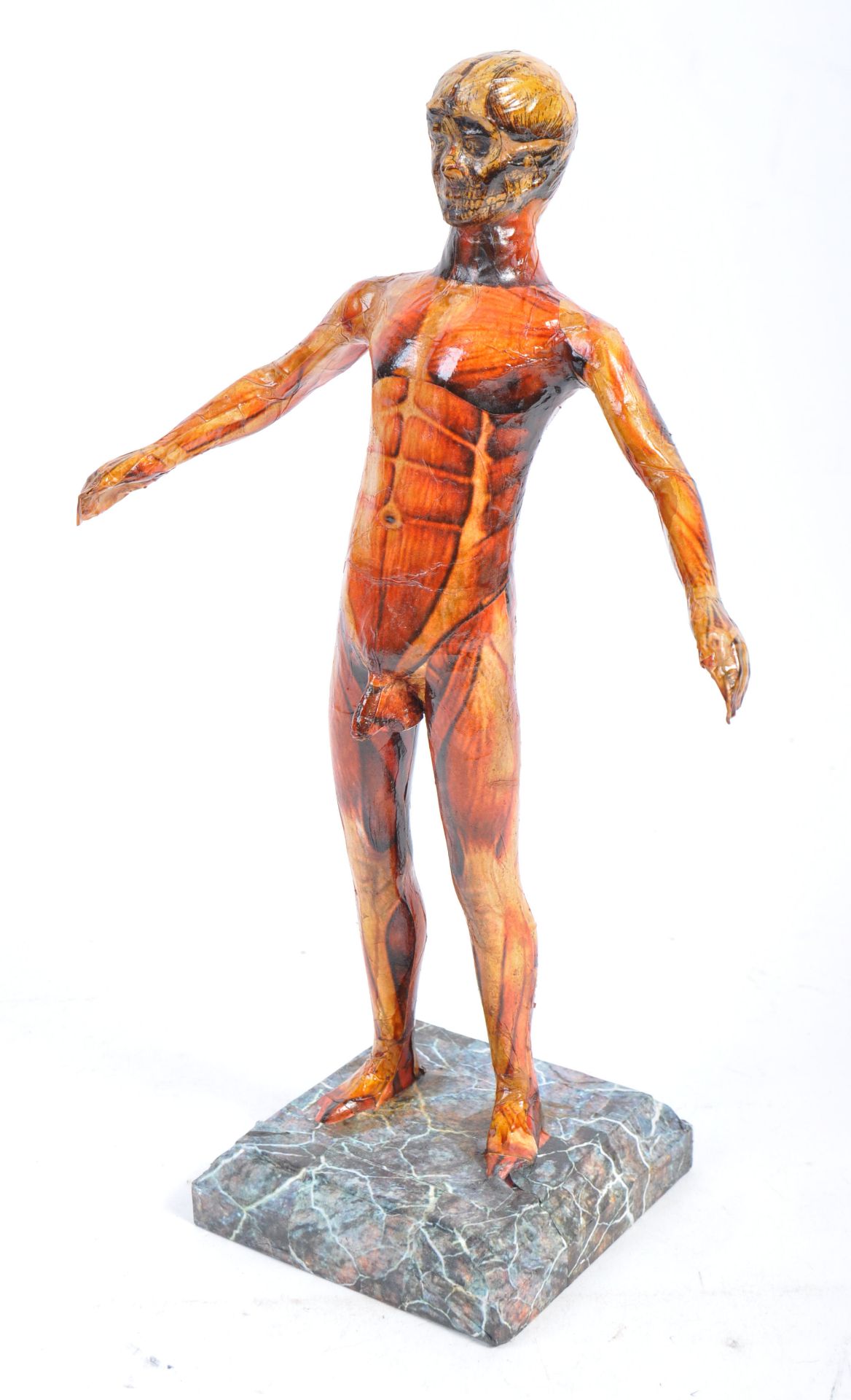 20TH CENTURY MEDICAL ANATOMICAL HUMAN FIGURE STATUE