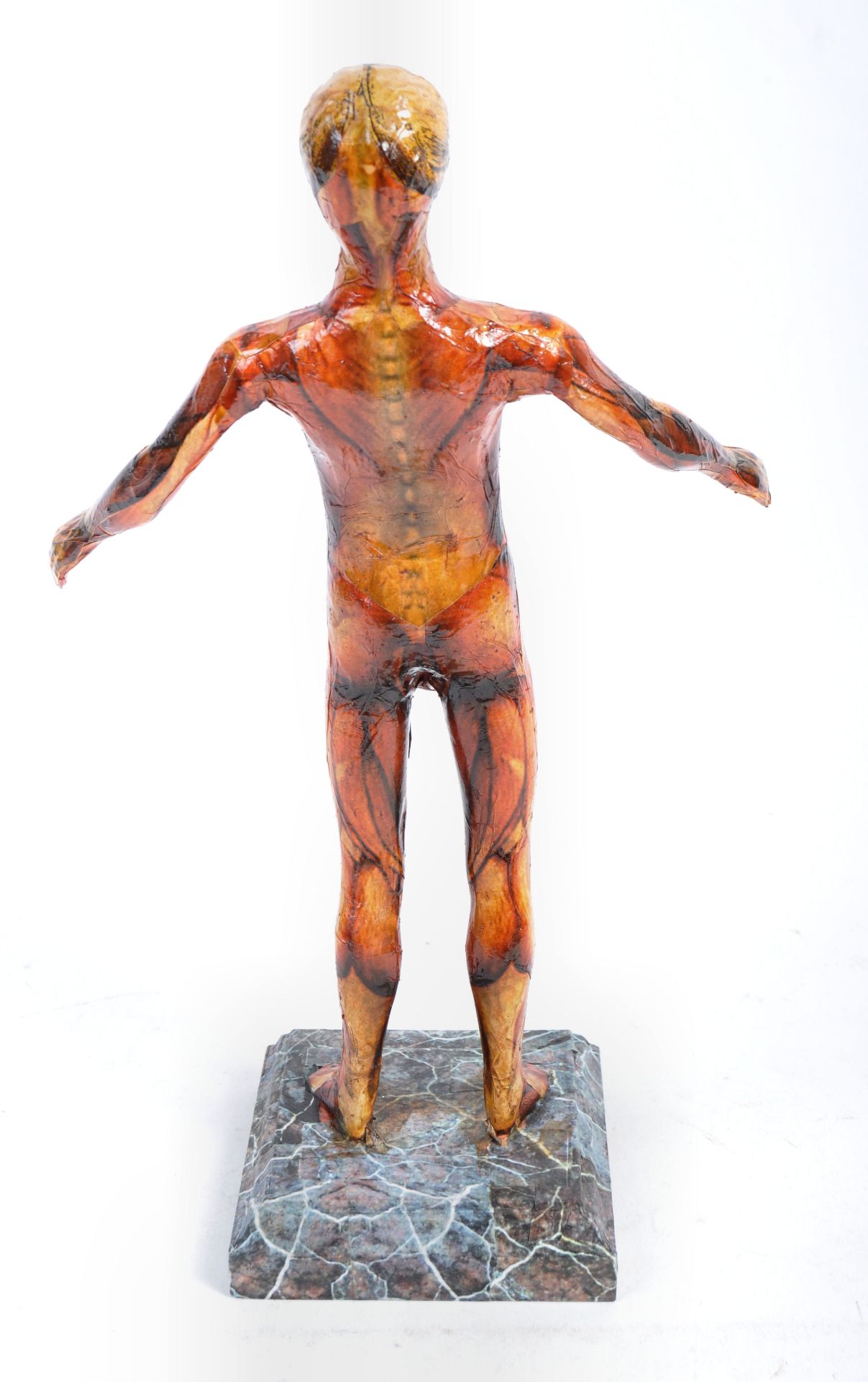 20TH CENTURY MEDICAL ANATOMICAL HUMAN FIGURE STATUE - Bild 3 aus 6