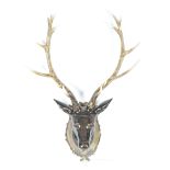 LIFESIZE FIBREGLASS INTERIOR TAXIDERMY STYLE DEERS HEAD PROP