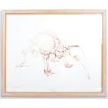 ORIGINAL DRAWING OF AN ANTEATER BY BRYAN KNEALE