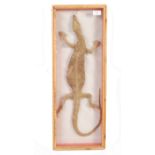 ANTIQUE TAXIDERMY STUDY OF A LIZARD - PETER WYNGAR