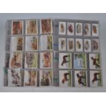 A group of four vintage cigarette trade cards in full sets to include Players Country Sport Series