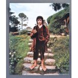 ELIJAH WOOD - THE LORD OF THE RINGS - BEAUTIFUL SIGNED PHOTO