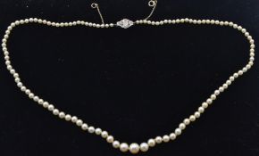 A Cased Pearl & Diamond Necklace