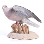 WWII MI9 ESCAPE & EVADE COLLECTION - TAXIDERMY STUDY OF SOE CARRIER PIGEON