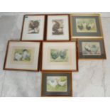 A group of seven framed and glazed chicken print paintings with some bearing signatures from the