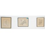 A group of three vintage framed and glazed coloured engraved maps to include Hampshire,