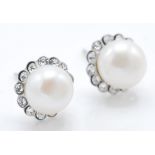 A pair of ladies silver stud earrings set with white pearls with a halo of round CZ stones.
