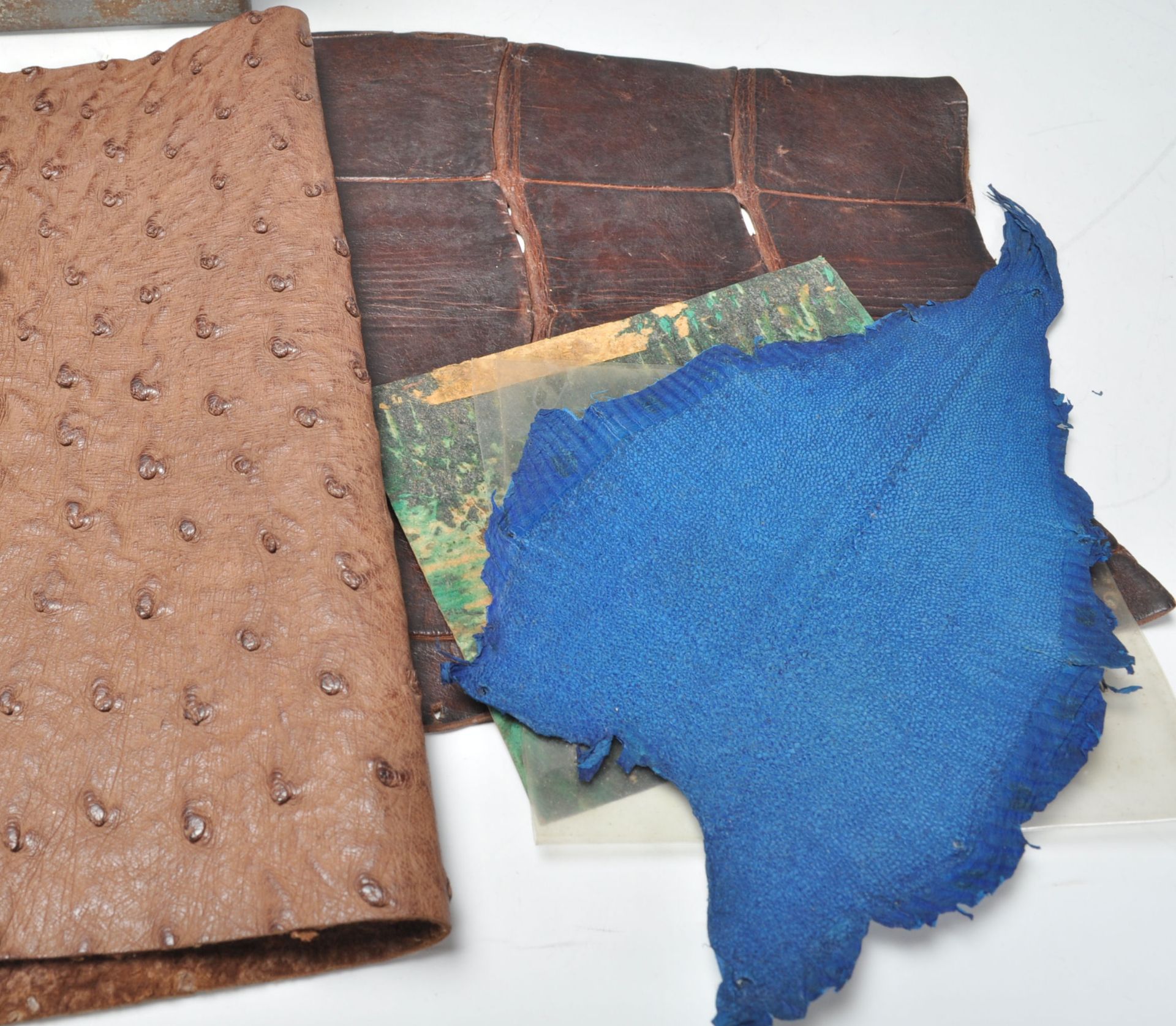 A good collection of various leather skin samplers to include snake skin (viper), fish skin examples - Bild 5 aus 5