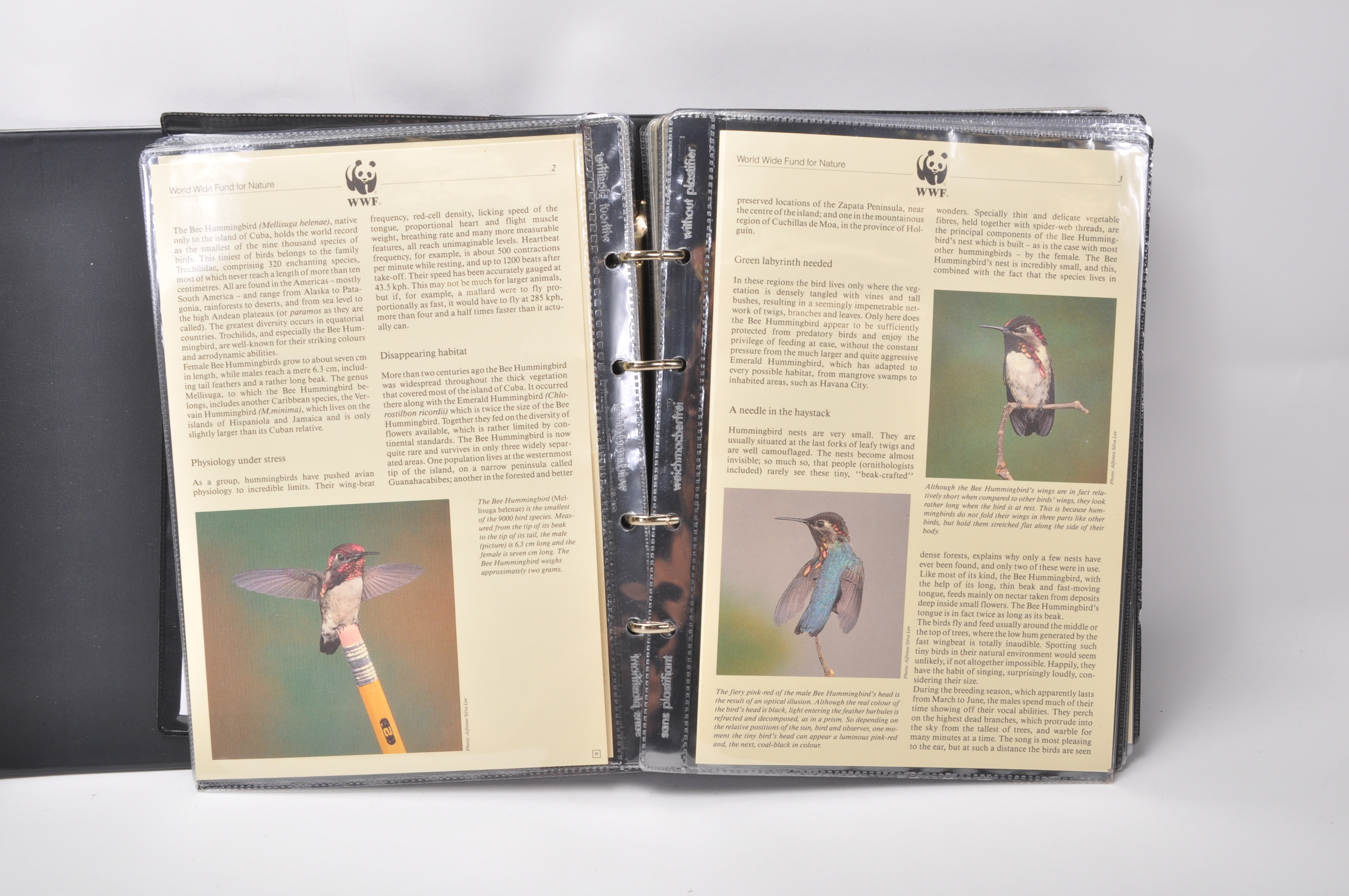 A group of five WWF stamp collectors albums filled with WWF special issue animals stamps, albums - Image 16 of 23