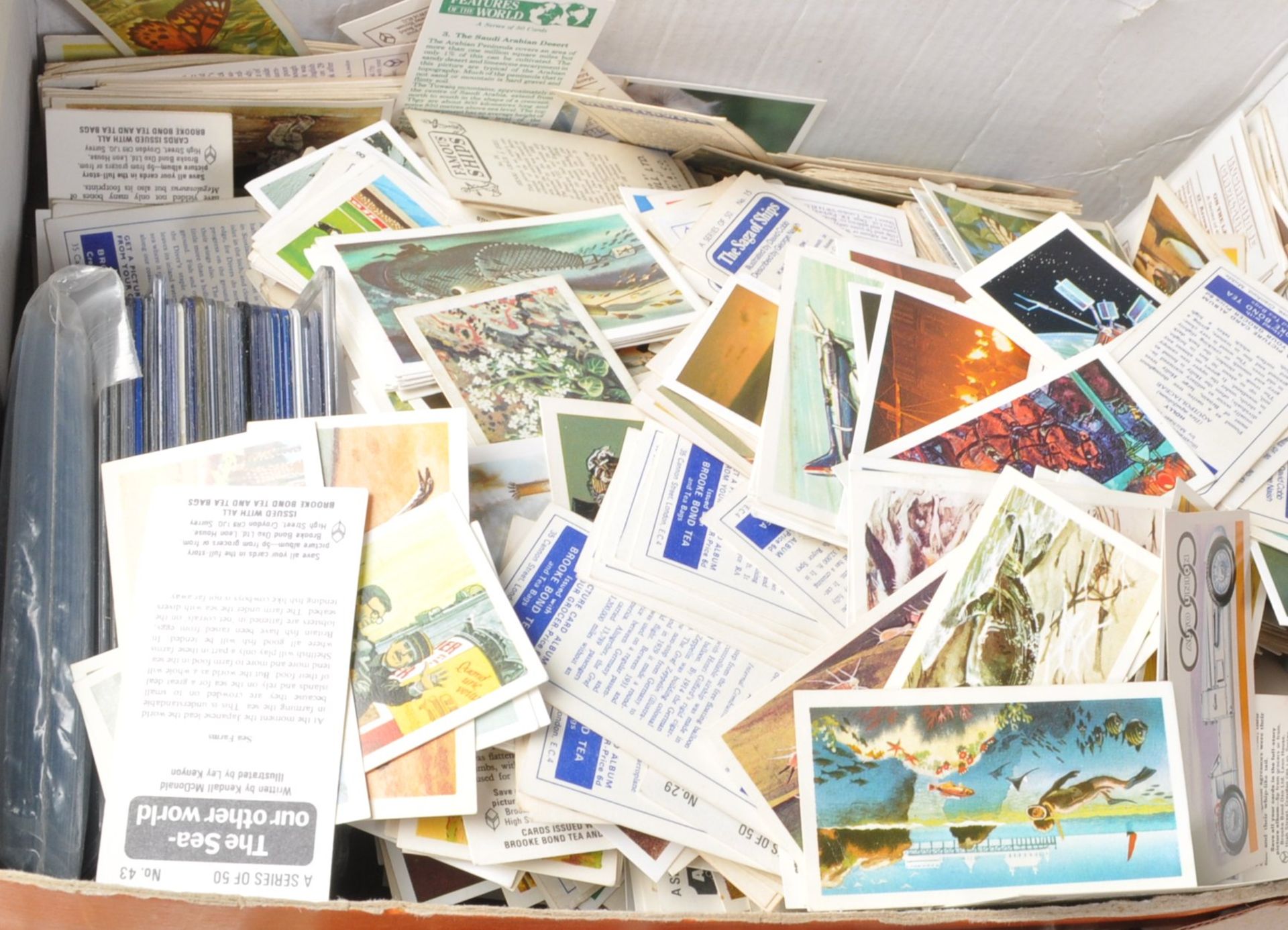CIGARETTE CARDS, Trade cards etc. Massive accumulation in eleven shoeboxes, quantity of albums (both - Bild 6 aus 7
