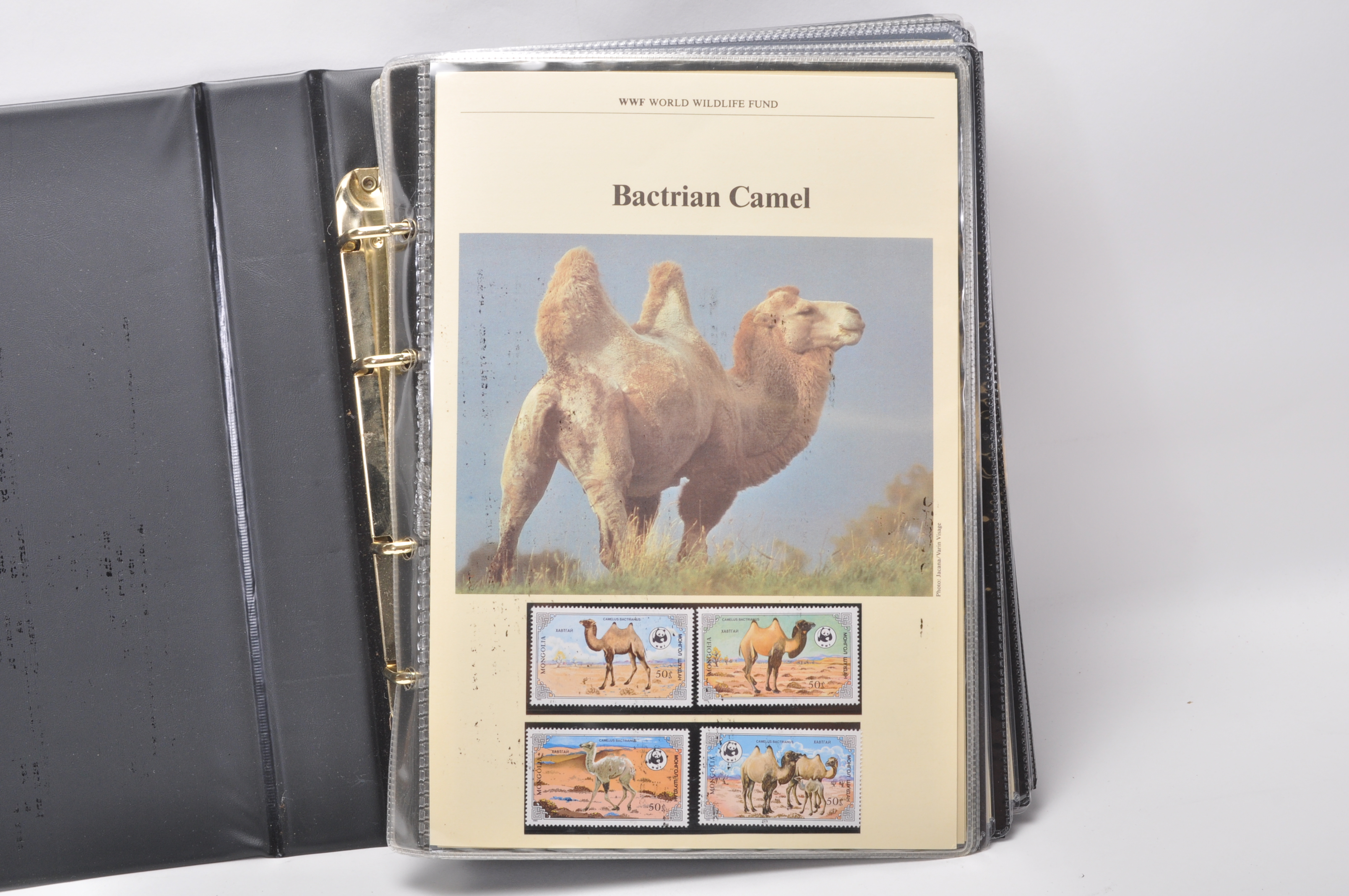 A group of five WWF stamp collectors albums filled with WWF special issue animals stamps, albums - Image 19 of 23