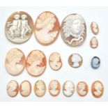 A collection of carved shell cameos dating from the 19th and 20th century. To include female